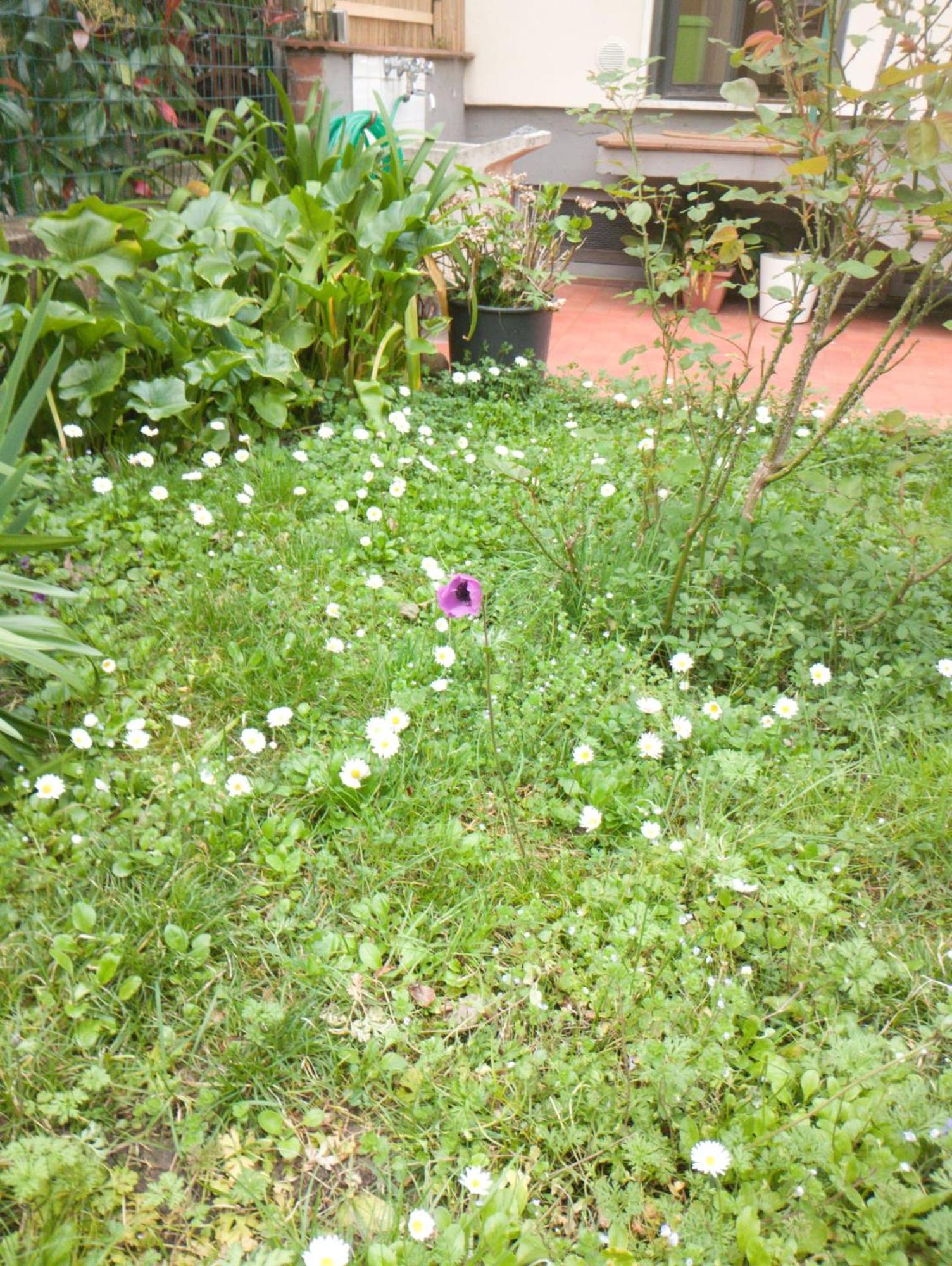 Casa Spadi Florence Ngoại thất bức ảnh